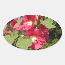 Adesivo Oval Malvarisas Rosa