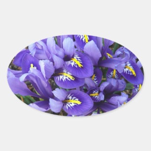 Adesivo Oval Miniatura Azul Levanta Primavera Floral