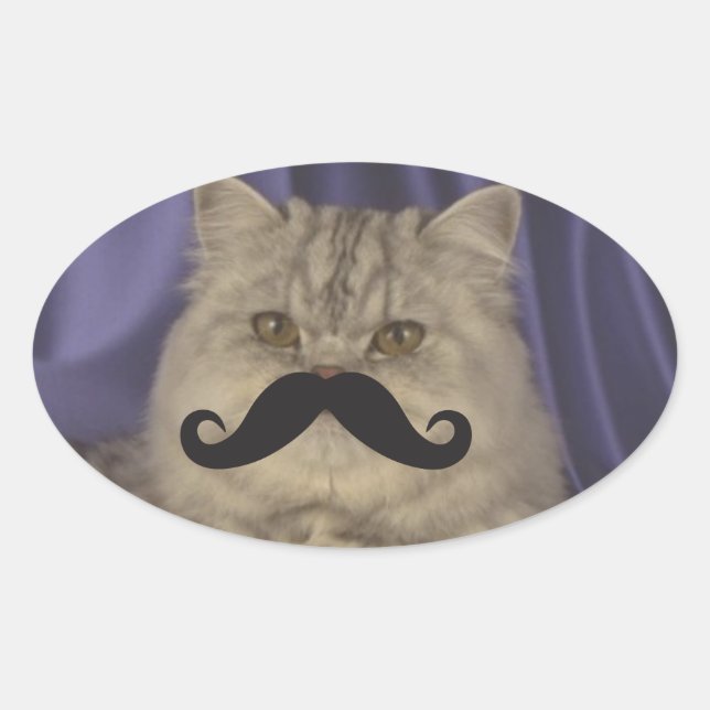 Adesivo Oval Modelo de Qpc para bigode (Frente)