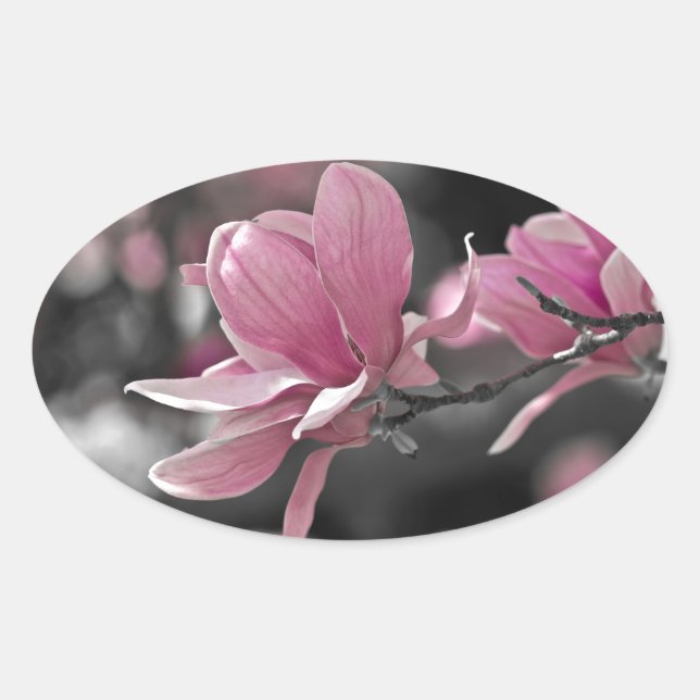 Adesivo Oval Molho Rosa Japonês Magnolia (Frente)
