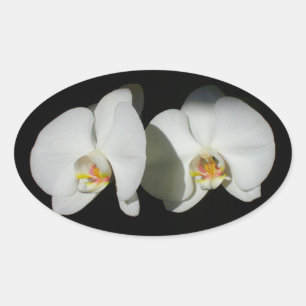 Adesivo Oval Momentos silenciosos