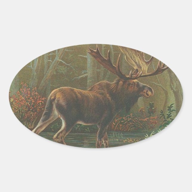 Adesivo Oval Moose (Frente)
