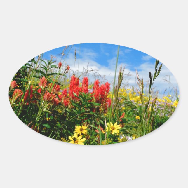 Adesivo Oval Mt. Wildflower (Frente)