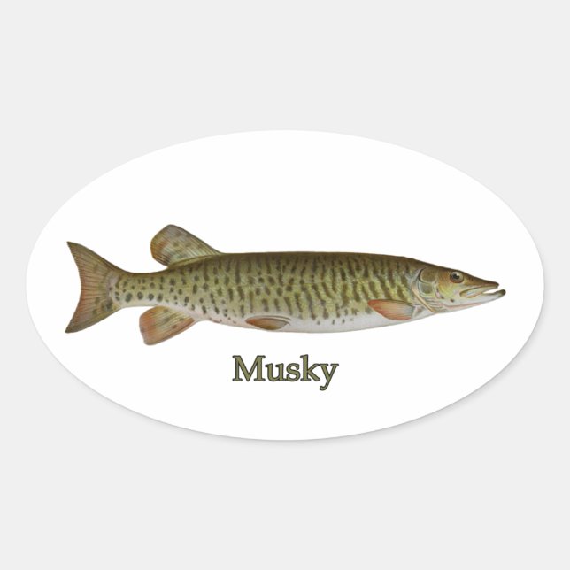 Adesivo Oval Musky (muskellunge) (Frente)