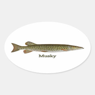 Adesivo Oval Musky (muskellunge)