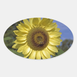 Adesivo Oval O girassol perfeito do verão no céu azul.