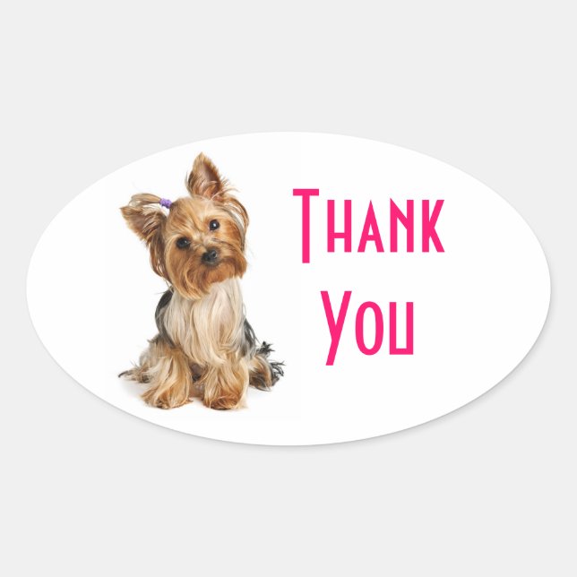 Adesivo Oval Obrigado Yorkshire Terrier Puppy Dog Stickers (Frente)