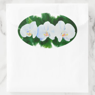 Adesivo Oval orquídeas brancas cor de água floral
