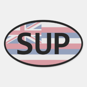 Adesivo Oval Paddling com bandeira havaiana