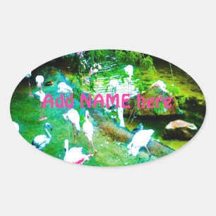 Adesivo Oval Pássaros Flamingo Rosa Personalizados