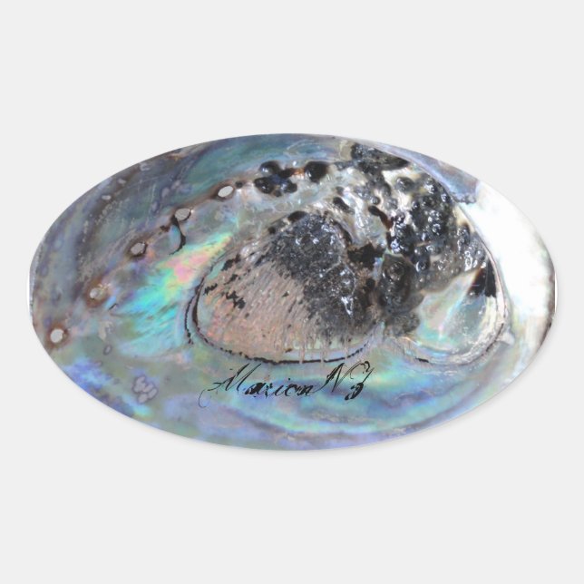 Adesivo Oval Paua Sticker (Frente)