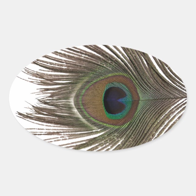 Adesivo Oval Peacock feather oval (Frente)