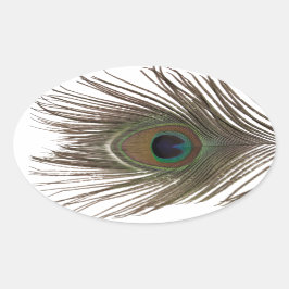 Adesivo Oval Peacock feather oval