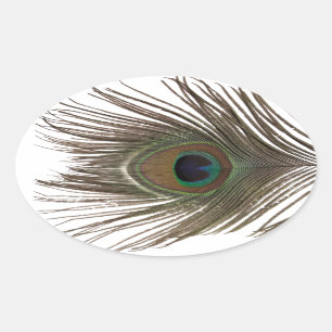 Adesivo Oval Peacock feather oval