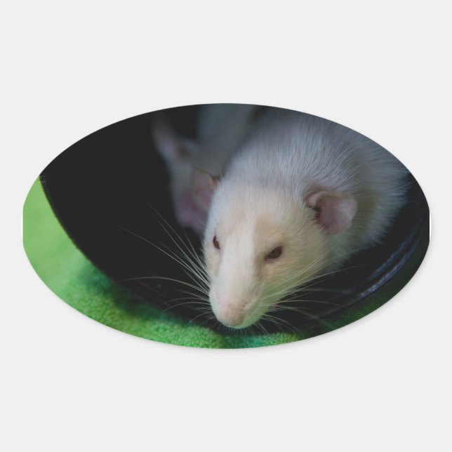 ADESIVO OVAL PEEWEE OVAL STICKER (Frente)