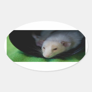 ADESIVO OVAL PEEWEE OVAL STICKER