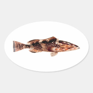 Adesivo Oval Peixe Agrupado