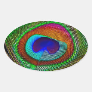 Adesivo Oval Pena de Pavão de Cobre Vibrante