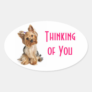 Adesivo Oval Pensando em Você Cachorro Yorkshire Terrier Ades