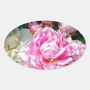 Adesivo Oval Peônias brancas e cor-de-rosa