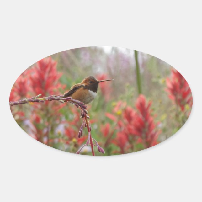 Adesivo Oval Pequeno pássaro gordo (Frente)