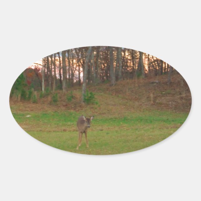Adesivo Oval Pequeno Veado e Sol Rosa (Frente)