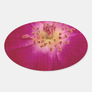 Adesivo Oval Perfeição Petal: Arte de Padrão Petal Rosa verific