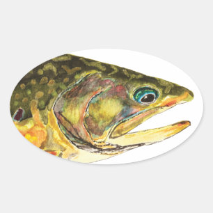 Adesivo Oval Pescador Brook Trout