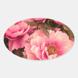 Adesivo Oval Pink Peony Flower