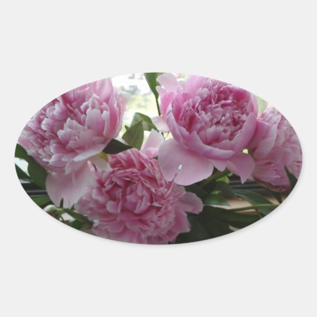 Adesivo Oval Pink Peony Stickers (Frente)