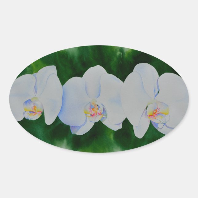 Adesivo Oval Pintura de orquídea branca Elegante tropical (Frente)