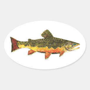 Adesivo Oval Pintura de Peixes de Brook Trout