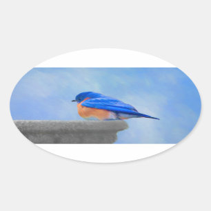 Adesivo Oval Pintura do Bluebird - arte original do pássaro