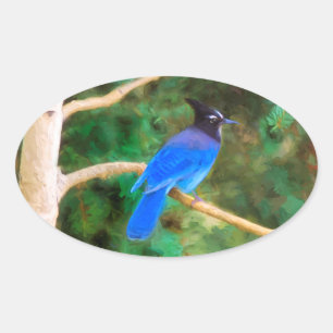 Adesivo Oval Pintura em Jay de Steller - Arte original de páss