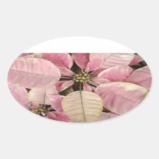 Adesivo Oval Poinsettia Oval Stickers