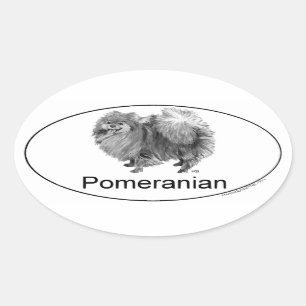 Adesivo Oval Pomerânia Euro