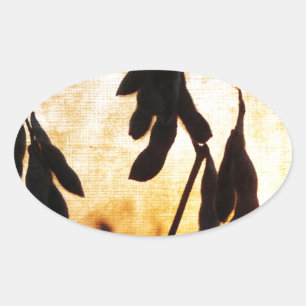 Adesivo Oval Por do sol do feijão de soja