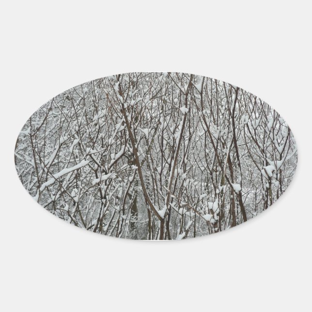 Adesivo Oval Ramificações cobertas por neve Abstrato de inverno (Frente)
