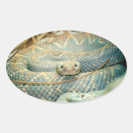 Adesivo Oval Rattlesnake Stickers