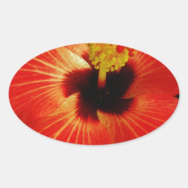 Adesivo Oval Red Hibiscus (Frente)