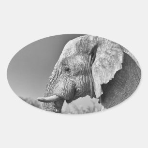 Adesivo Oval Retrato elefante