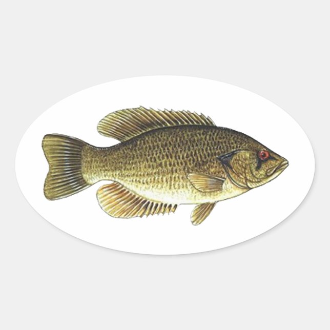 Adesivo Oval Rock Bass - Olho Vermelho (Frente)