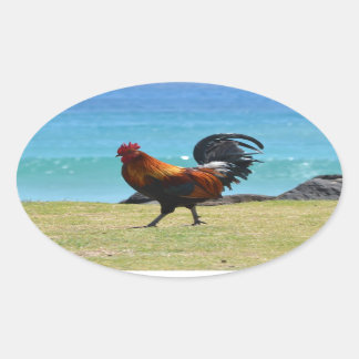 Adesivo Oval Rooster Kauai