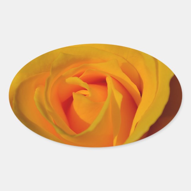Adesivo Oval Rosa amarela elegante (Frente)