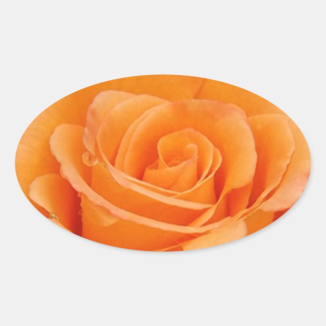 Adesivo Oval Rosa laranja (Frente)