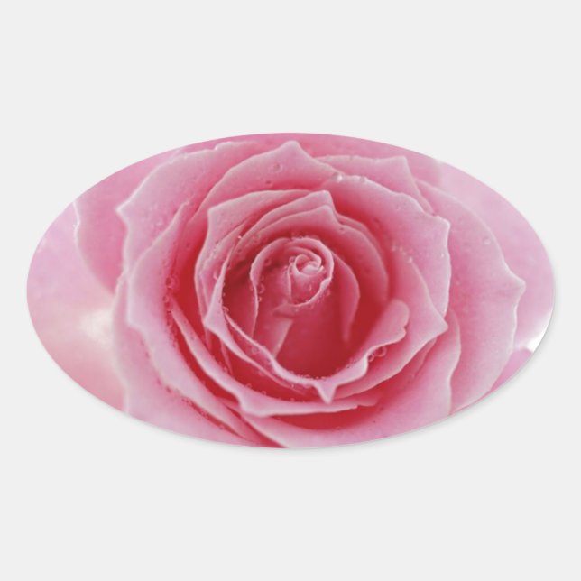 Adesivo Oval Rosa Rosa Rosa (Frente)