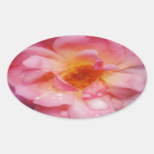 Adesivo Oval Rosa Rosa Rosa Rosa Cor-de-Rosa com Guias Negras