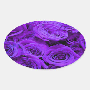Adesivo Oval rosas roxas violetas românticas, bouquet de rosa 