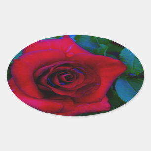 Adesivo Oval Rosas vermelhas com tons azuis
