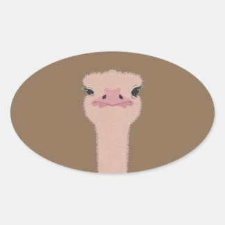 Adesivo Oval Rosto engraçado avestruz